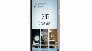 Custom interface for an apartment in Saint Petersburg 